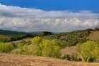 Italy-Tuscany Tuscan landscape Art Print